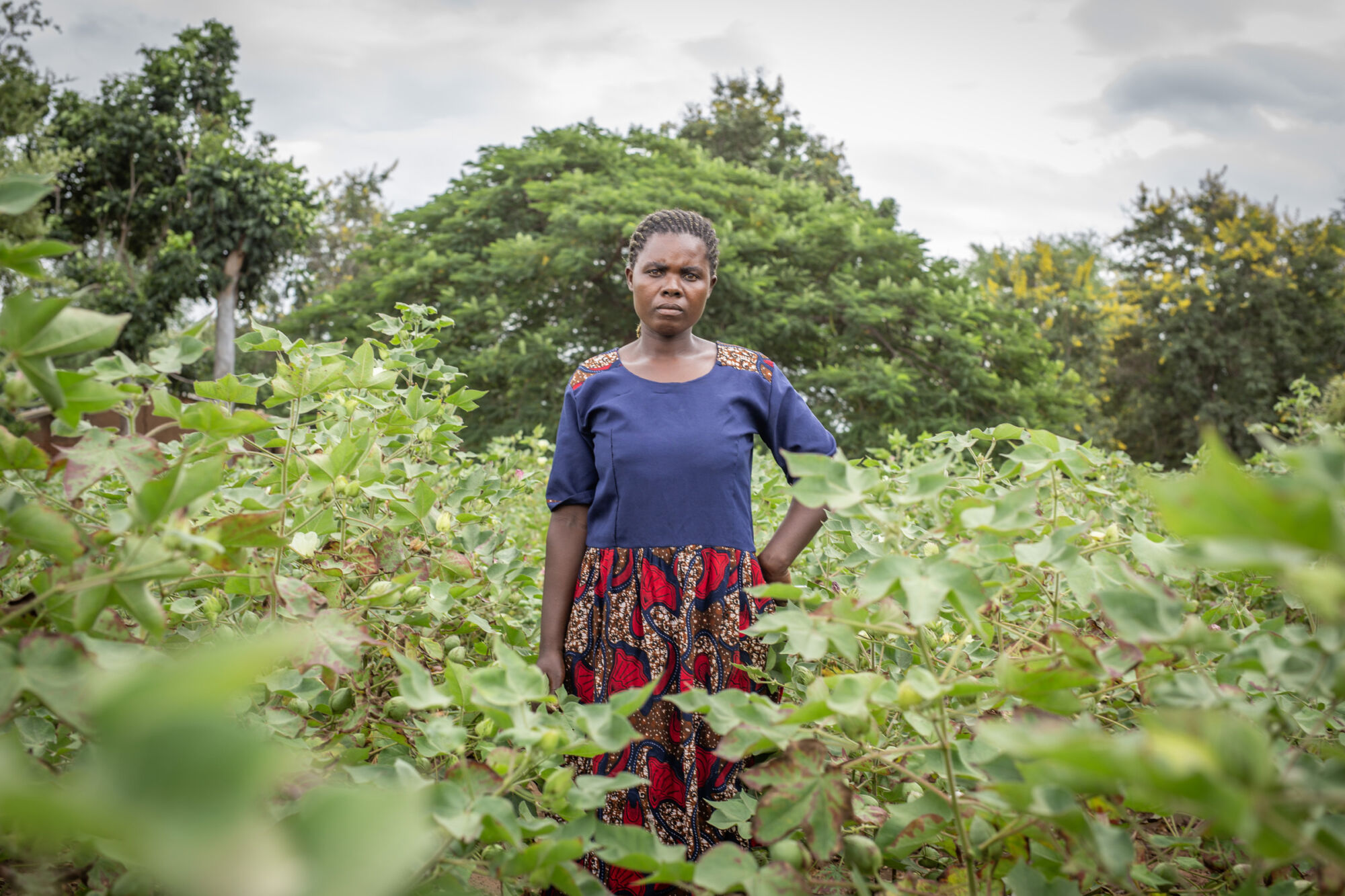 Pitrue of farmer Eunice Tsamba in the middle of a cotton field.